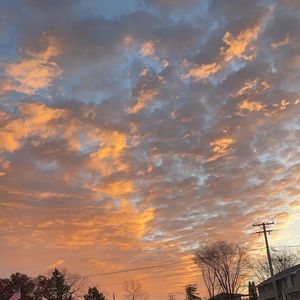 Meet your Posher, Cassie